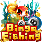 Bingo Fishing jilimacao online